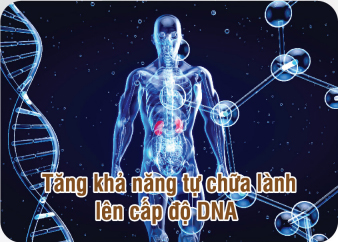 Tăng khả năng tự chứa lành lên cấp độ DNA