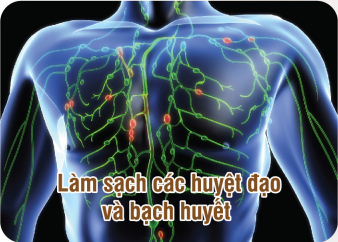 Làm sạch các huyệt đạo và bạch huyết