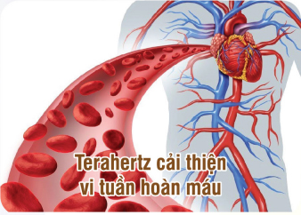 Terahertz cải thiện vi tuẩn hoàn máu